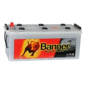 Banner Buffalo Bull 180Ач евро Австрия