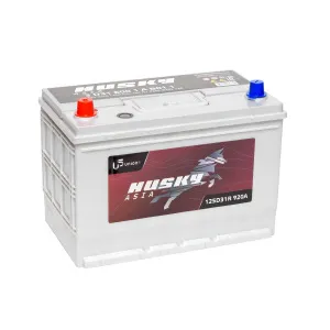 HUSKY Asia 100 Ач Турция