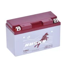 HUSKY 7 Ач 12В Китай